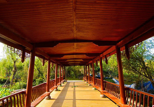 1591327924118255.jpg 青島世界園藝博覽會.jpg