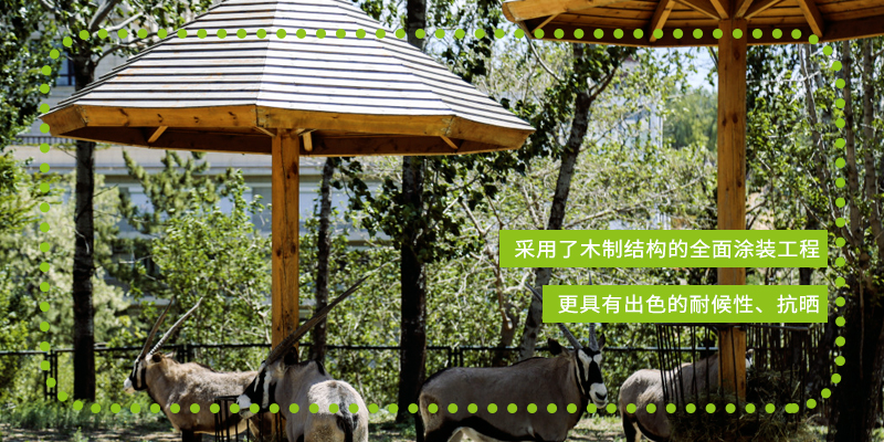 1726801372103198.jpg 2.jpg